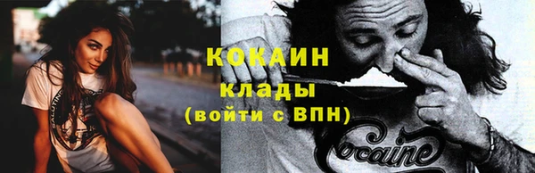 хмурый Новозыбков