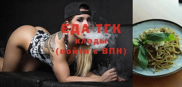 хмурый Новозыбков