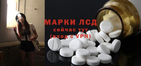 хмурый Новозыбков