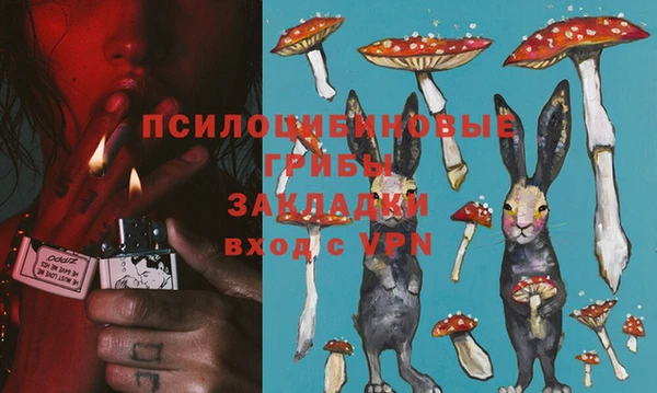 хмурый Новозыбков