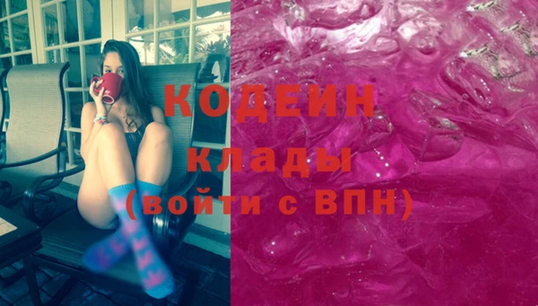 хмурый Новозыбков