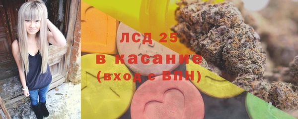 хмурый Новозыбков