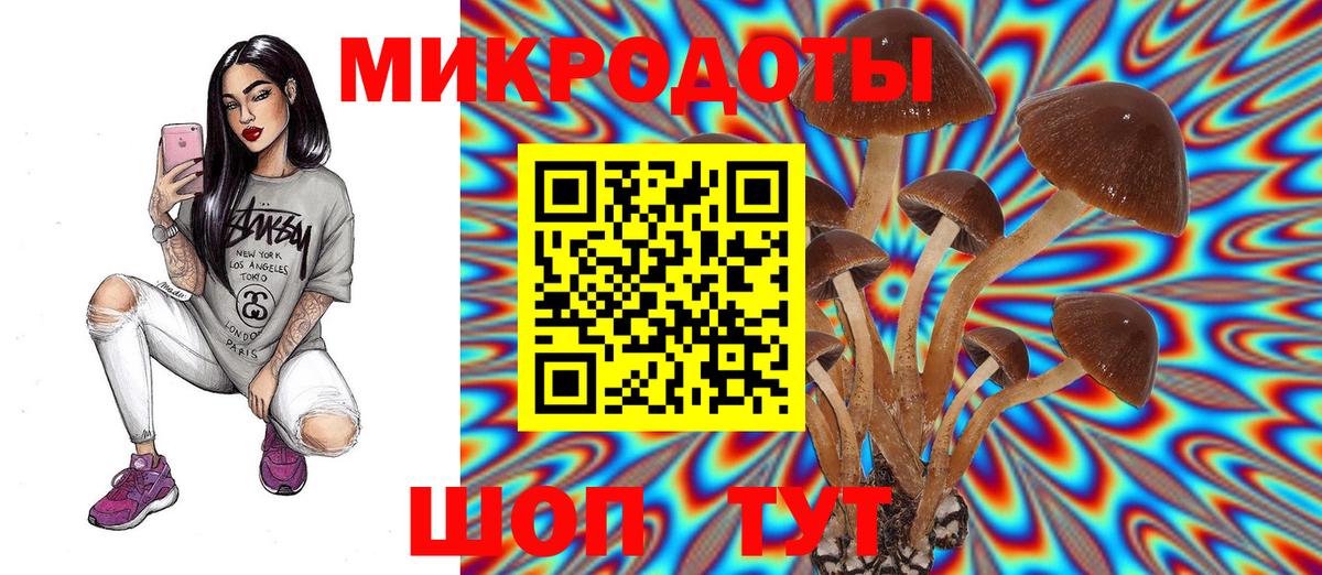 Вольск  где продают   Вход с VPN  Псилоцибиновые грибы Magic Shrooms 