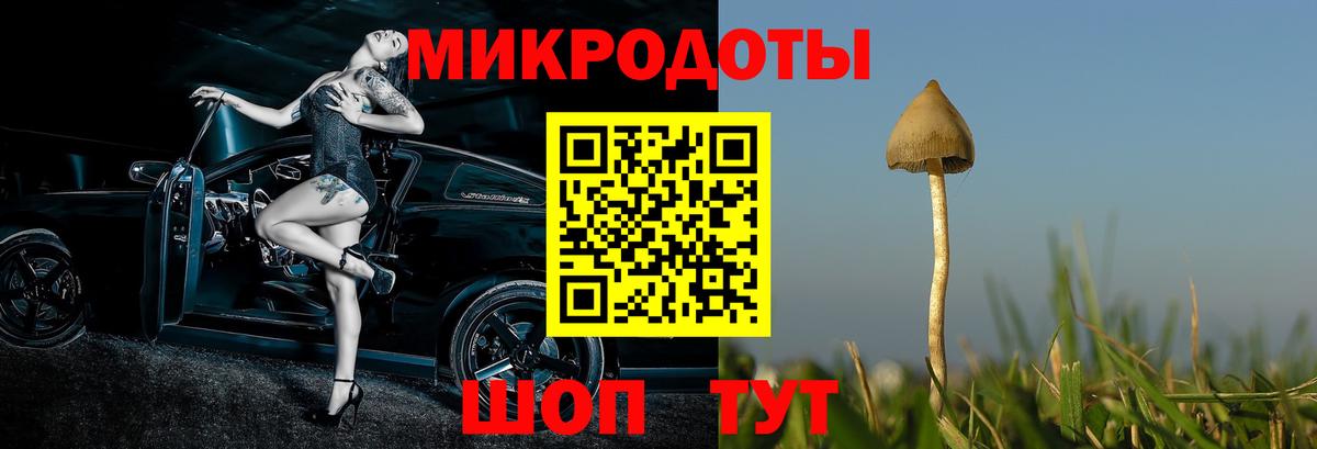 Галлюциногенные грибы Psilocybe Вольск