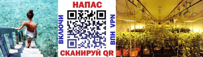 Канабис марихуана  гидра ССЫЛКА  Вольск  купить наркоту 